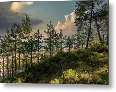 Dunescape Metal Print featuring the photograph View from dunes on the beach Latvia by Aleksandrs Drozdovs