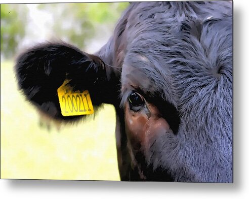 Animal Metal Print featuring the mixed media Youngster by Abbie Shores