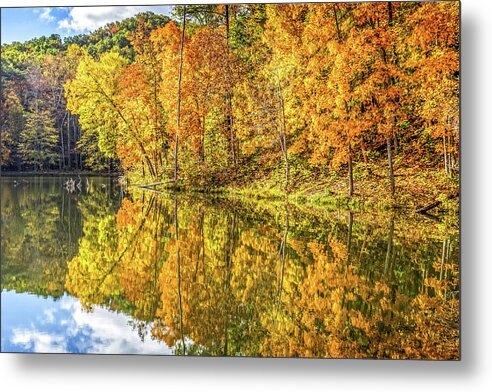 Fall Metal Print featuring the photograph Beauty Of Fall by Ed Newell