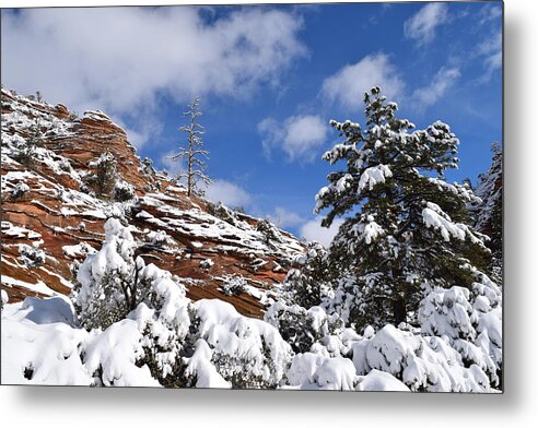 Zion Metal Print featuring the photograph Snowy Hoodoos East Zion by Bnte Creations