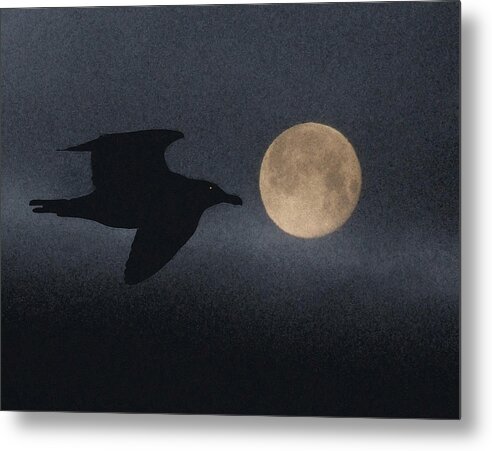 Night Metal Print featuring the photograph Night Bird by Mark Alan Perry