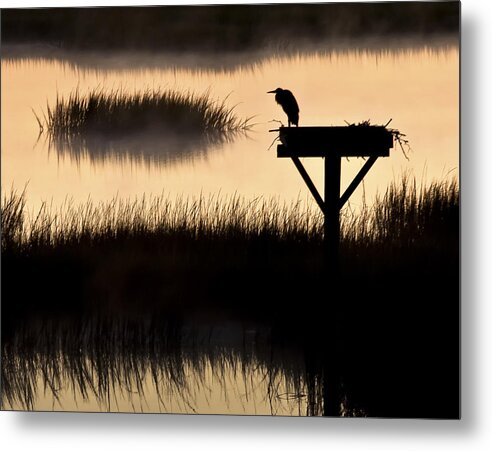 Heron Metal Print featuring the photograph Watchtower Heron Sunrise Sunset Image Art by Jo Ann Tomaselli