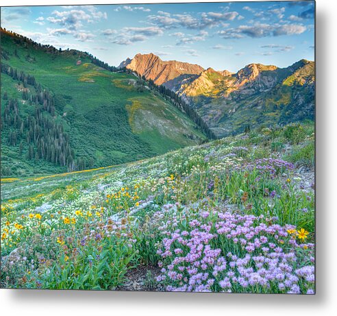 Wasatch Metal Print featuring the photograph Wasatch Mountains Utah #11 by Douglas Pulsipher