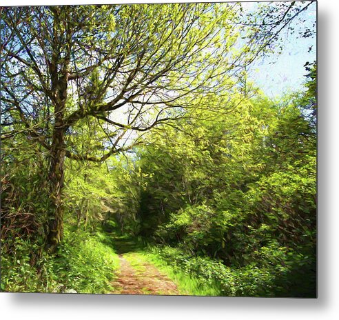 Greeting Card Metal Print featuring the photograph A Gentle Path by Allan Van Gasbeck