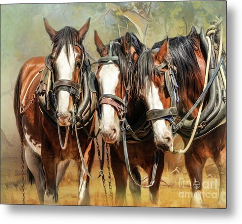 Clydesdale Metal Print featuring the digital art Clydesdale Conversation by Trudi Simmonds