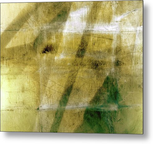 Abstract Metal Print featuring the photograph Goosehead Air by Matt Cegelis