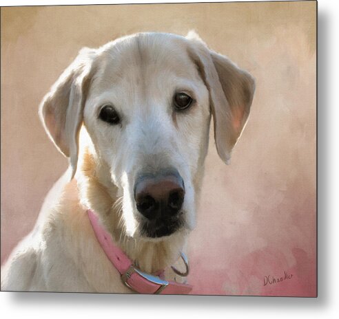 Dog Metal Print featuring the painting Lucy in Pink by Diane Chandler