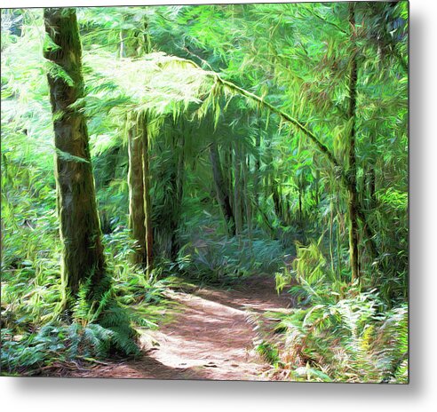 Greeting Card Metal Print featuring the photograph Rain Forest Trail by Allan Van Gasbeck