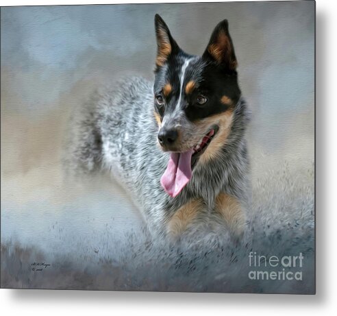 Dogs Metal Print featuring the mixed media Cookie - A Blue Heeler by DB Hayes