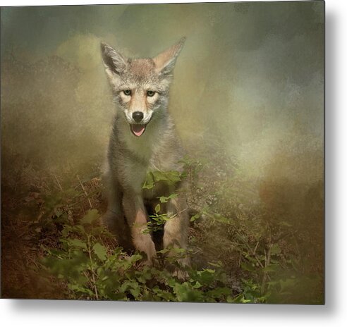 Coyote Metal Print featuring the digital art The Littlest Pack Member by Nicole Wilde