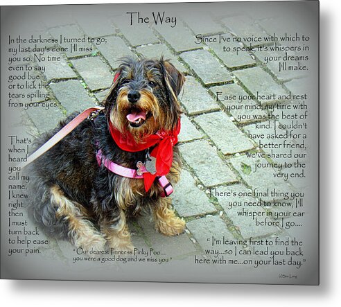 Quote Metal Print featuring the photograph Custom Paw Print Pinky by Sue Long