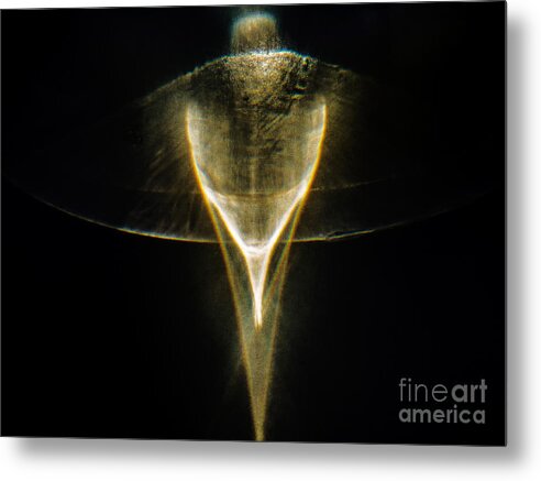 Writing With Light Metal Print featuring the photograph Dancing in the light by Casper Cammeraat