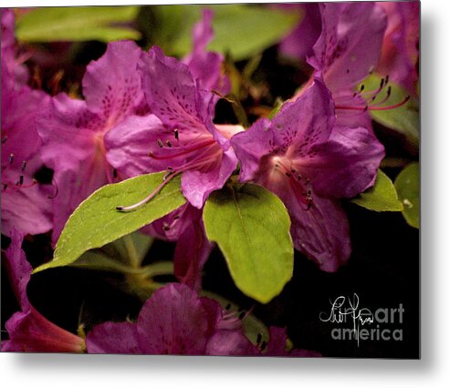 Flower Metal Print featuring the digital art Flw5 by Leo Symon