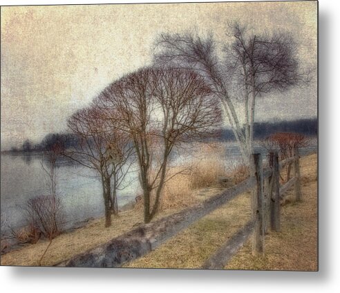 Birch Tree Metal Print featuring the photograph Gloucester Winter Morning - Vintage by Joann Vitali