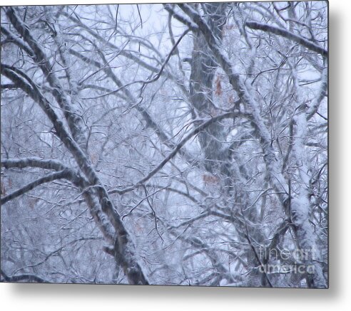 Snow Metal Print featuring the photograph In The Midst of Majesty by Roxy Riou