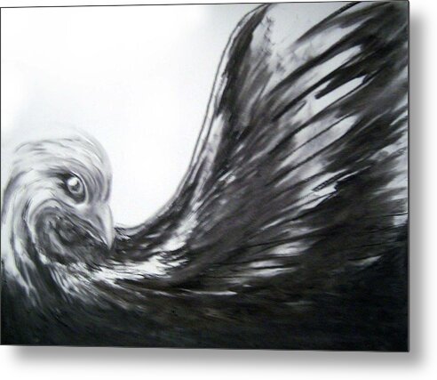 Eagle Metal Print featuring the drawing Follow by Alice Chen