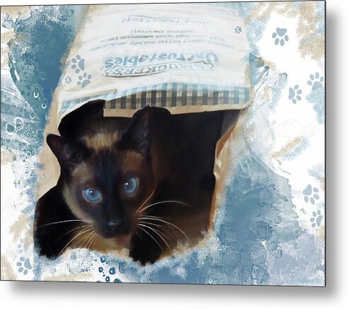 Siamese Cat Metal Print featuring the photograph Don't Let the Cat Out of the Bag by Donna Kennedy