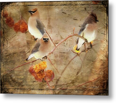 Cedar Waxwings Metal Print featuring the photograph Out on a Limb by Linda Lee Hall