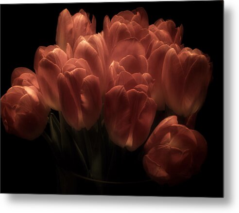 Tulips Metal Print featuring the photograph Romantic Tulips by Richard Cummings
