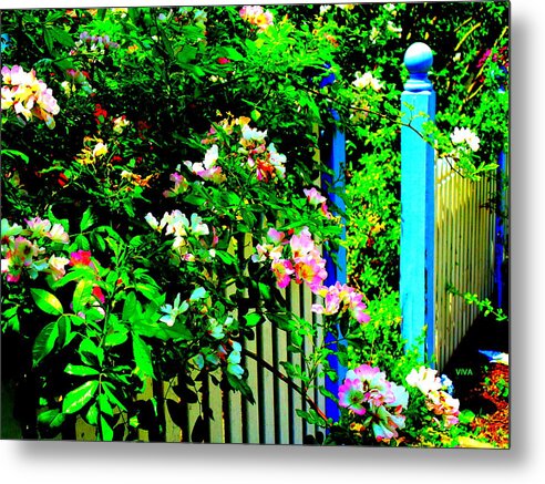 Viva Metal Print featuring the photograph A Warm Welcome by VIVA Anderson