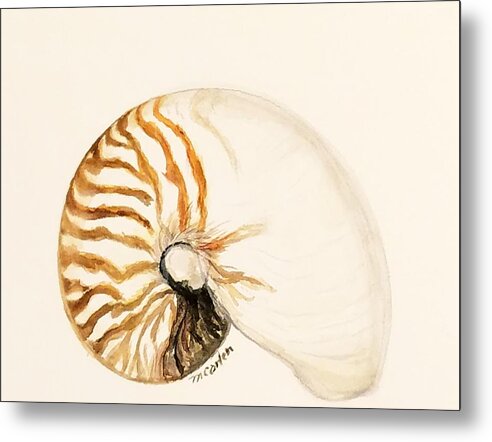 Nautilus Metal Print featuring the painting Nautilus by M Carlen