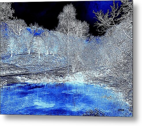 Trees Metal Print featuring the photograph The Pond in Winter.  by VIVA Anderson