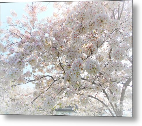 Cherry Blossoms Metal Print featuring the photograph Cherry Blossoms Dreaming by Fantasy Seasons