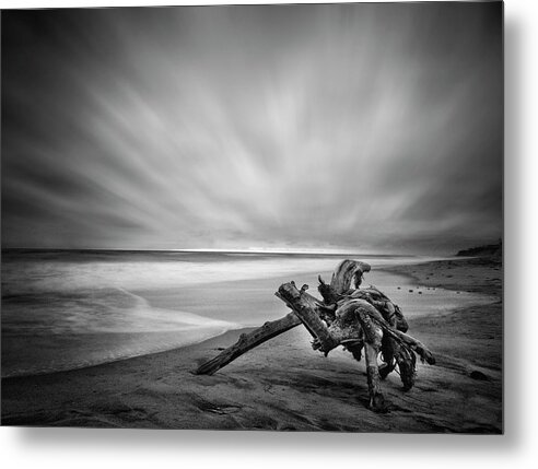 Lifeguard Metal Print featuring the photograph Driftwood Del Mar Beach by Lawrence Knutsson