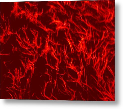  Metal Print featuring the digital art Fires Fibers... by Miguel Davlantes