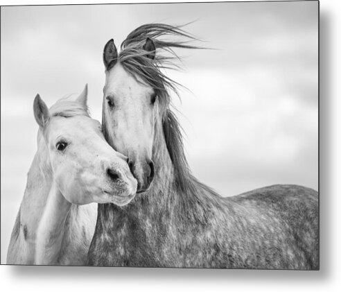 #faatoppicks Metal Print featuring the photograph Best Friends I by Tim Booth