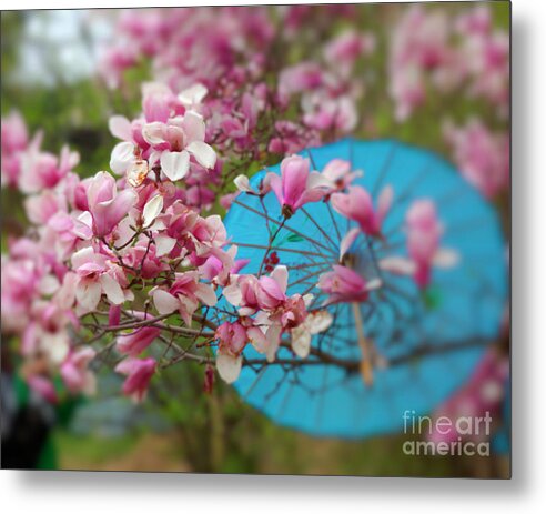 Cherry Blossom Festival Metal Print featuring the photograph A blue umbrella by Agnes Caruso