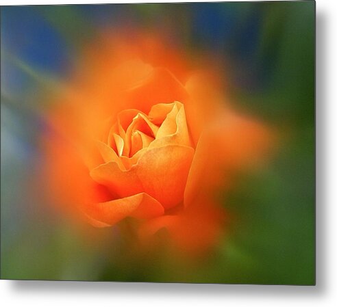 Rose Metal Print featuring the photograph Summer 2020 by Richard Cummings