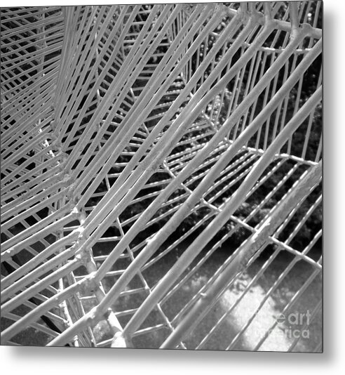 Cathy Dee Janes Metal Print featuring the photograph Web Wired by Cathy Dee Janes