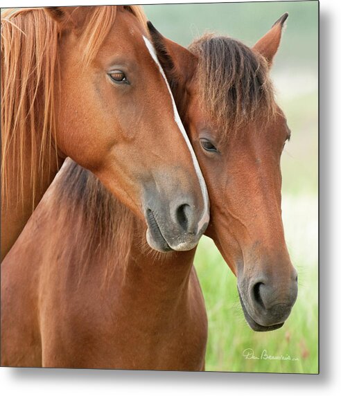 Horses Metal Print featuring the photograph Mates 0211 by Dan Beauvais