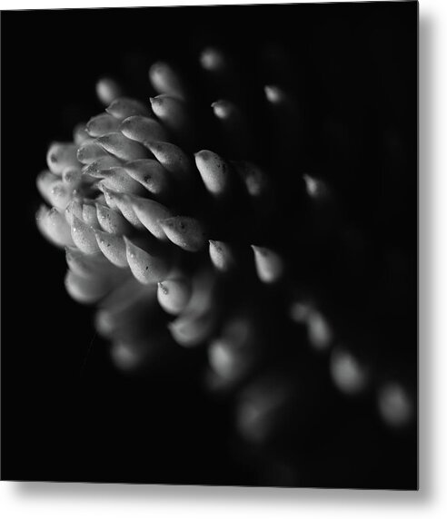 Macro Metal Print featuring the photograph Nature Beauty by Martin Vorel Minimalist Photography