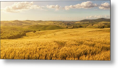Scenics Metal Print featuring the photograph Sunset Tuscany Landscape #1 by Focusstock