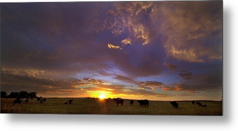 Landscape Metal Print featuring the photograph A New Dawn by Steven Reed