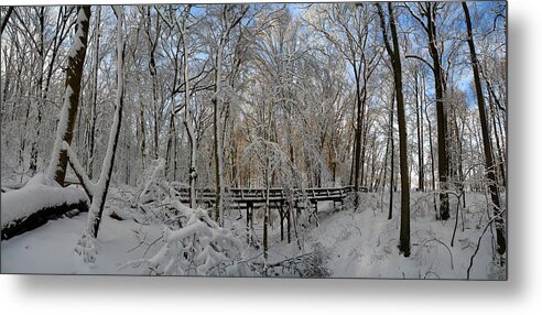 Salani Metal Print featuring the photograph A Winter Scene by Raymond Salani III