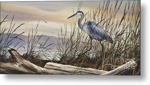 Heron Fine Art Prints Metal Print featuring the painting Beauty Along the Shore by James Williamson
