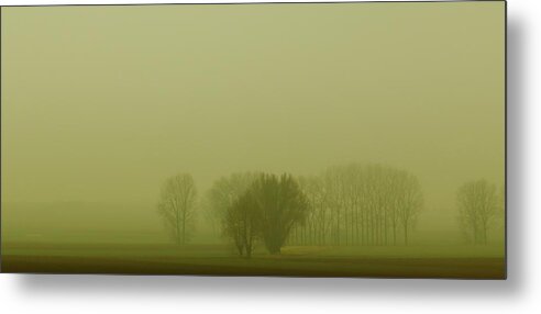 Fog Metal Print featuring the photograph Green Day by Franziskus Pfleghart