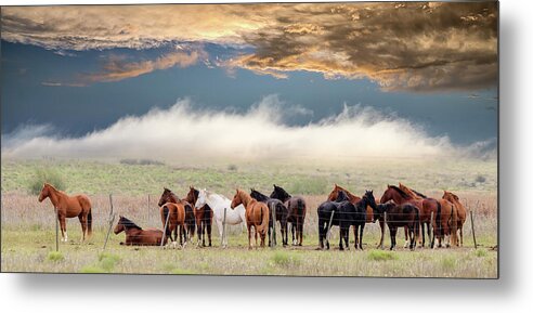 Horse Metal Print featuring the photograph Horses by Chechi Peinado
