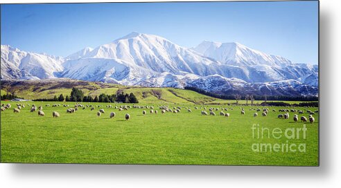 Beauty Metal Print featuring the photograph New Zealand Farmland Panorama by Colin and Linda McKie