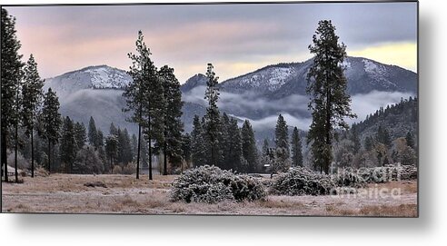 Landscape Metal Print featuring the photograph Only A Little Snow by Julia Hassett