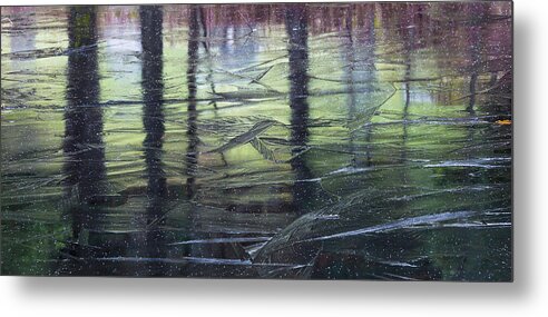 Transitions Metal Print featuring the photograph Reflecting on Transitions by Mary Amerman