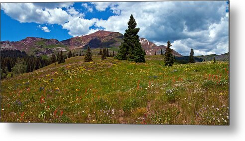 Eric Rundle Metal Print featuring the photograph Ruby Range Wildflowers by Eric Rundle