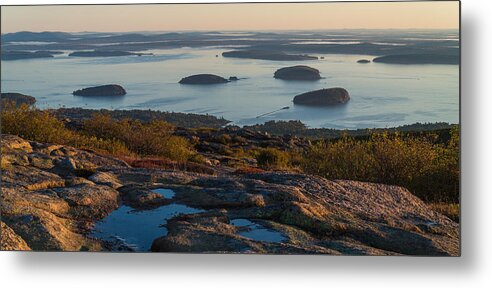Acadia Metal Print featuring the photograph Sea Dots by Kristopher Schoenleber