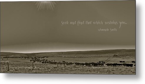 Cattle Metal Print featuring the photograph Seek and Find by Amanda Smith