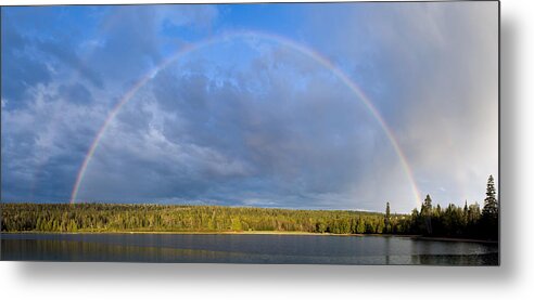 Panorama Metal Print featuring the photograph Serendipity by Doug Gibbons