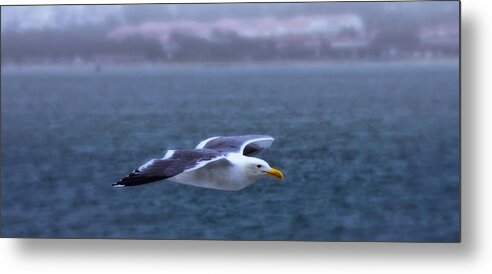 Seagull Metal Print featuring the photograph Soar by Joe Ownbey