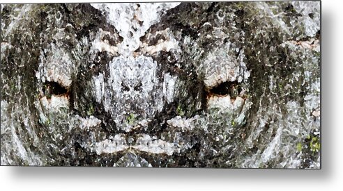 Trees Metal Print featuring the photograph Tree Face - Tree Bark by Marie Jamieson